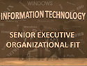 IT Senior Executive Organizational Fit